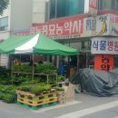 흥농종묘 이미지