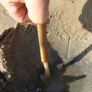 노을빛진산펜션 이미지