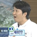 강아지와 제주여행 ( 준비과정 - 비행기 / 숙소 / 렌트카) 여행준비물과 +짜릿한 비행후기