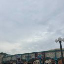 청해농장 | 도쿄 디즈니씨 놀이기구 추천 | 어트랙션 솔직 후기 동선 총정리 (판타지 스프링스 포함)