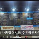 탐나종합어시장수유광산