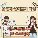 청구세탁 | 알레르기 비염 검사 결과 공개_코스프레이 + 히스토불린 주사 처방 후기 (실비보험 청구까지)