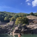 다래산장 민박 | [하동-구례] 가족여행 관광지 1편 (Top 5)