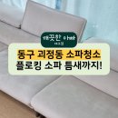 안심역 | 대구동구 안심역 소파청소, 플로킹 소파 틈새까지 꼼꼼 세척 후기! - 대구 소파세척 어디서?