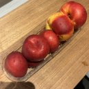 굿파비스 | 말 동유럽 자유여행 3-4일차(잘츠부르크행 플릭스버스, 파비스 프로즌 요거트, 미라벨정원, 폰트랩 대령...