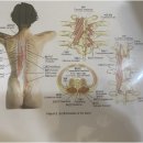 신림의휴식처 | 다섯 명 이상도 부담없이 신림역전신관리 여기서 가능, 편안한 휴식처 찾고 있다면 추천해요
