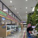 천안시청 | 천안시청 여권 재발급 후기 (개명 후 전자여권 만들기 + 사진 규정 꿀팁)