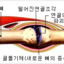 조상일정형외과의원 이미지
