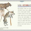 빨간모자 이미지