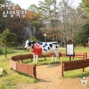 생동목장 이미지