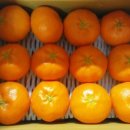 현승농장 이미지