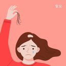 에스케어 이미지