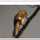 당골농장 이미지