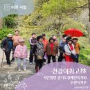 경기도장애인복지회 수원시지부 | [2025 녹색자금사업_건강이최고林] 250422~0423 사단법인경기도 장애인 복지회 수원시지부