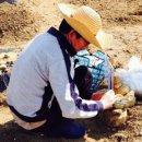 근원농장 이미지