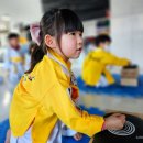 품 태권도 이미지