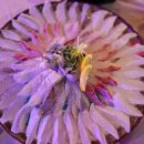 소로3-303 이미지