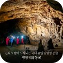 평창 백룡동굴 | 진짜 탐험이 시작되는 곳 '평창 백룡동굴'