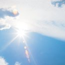 에스플란트치과병원 이미지