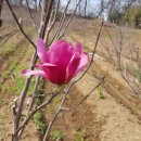 화포농장 이미지