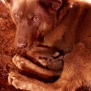 금순이농장 이미지