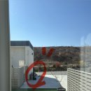 란트루헤 | 강릉 가성비 수영장 펜션 란트루헤 아이와 풀빌라 강릉여행 경포해수욕장 신축 펜션 온수풀 후기