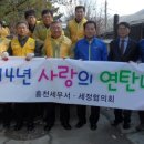 홍천세무서 이미지