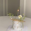 포레스트모리토키