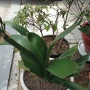 흥덕신동아박사공인중개사사무소 이미지