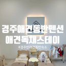 골안 | 경주독채애견스테이 후기 퐁이랑 다녀온 프라이빗한 경주애견동반펜션 추천