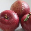 봉자농장 이미지