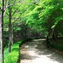 월포바닷가 이미지