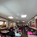 목화반점 이미지