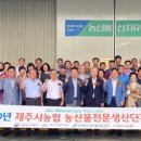 제주농산물 이미지