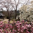 안마을 정자 앞 이미지