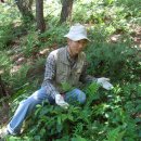 이비농장 이미지