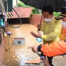 하시라 이미지