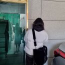 GY소프트 | 궁금했던 퍼스널컬러 드디어 진단😀 (feat. 꼴로레)