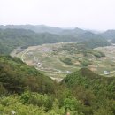 무주 향로산자연휴양림 숲속 나무집 참나무방 1박 후기