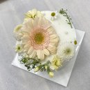 안양-안양-안양-523 이미지