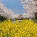 신풍리교차로 2-2 이미지