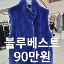수원실버세탁소 | 동탄역 오산역 모피할인매장 화끈하고 쿨한 가격으로 장만해볼까?
