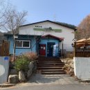 까페나무 이미지