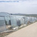 논공읍사무소 이미지