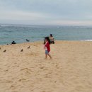 속초해수욕장 이미지