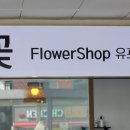 유포리아플라워