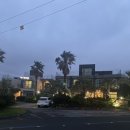 섶섬 아우룸 이미지