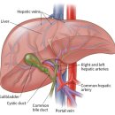 구포한의원 | 부산 구포 어지럼증 한의원. 뇌로 혈액이 잘 공급되면 좋아집니다 (원장 작성)