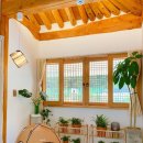 스테이우연 이미지