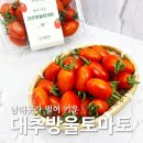 더달콤토마토 | 남해곳간 벌이 키운 대추방울토마토 상큼달콤한 맛 후기